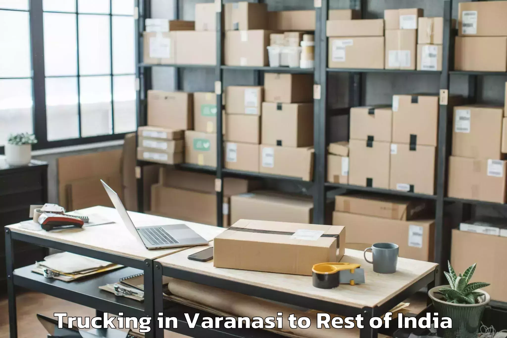 Top Varanasi to Kargil Trucking Available